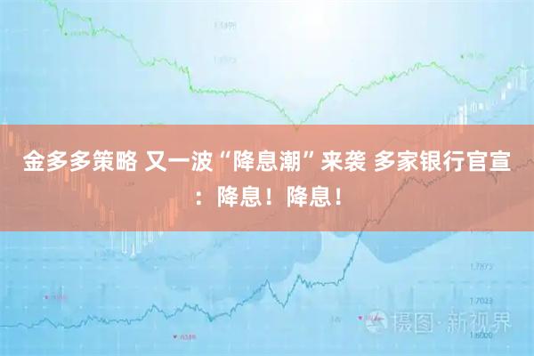 金多多策略 又一波“降息潮”来袭 多家银行官宣：降息！降息！