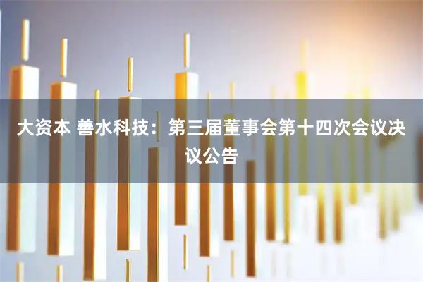 大资本 善水科技：第三届董事会第十四次会议决议公告
