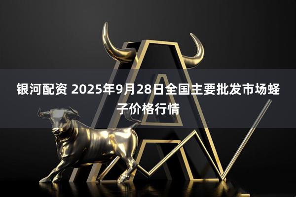 银河配资 2025年9月28日全国主要批发市场蛏子价格行情