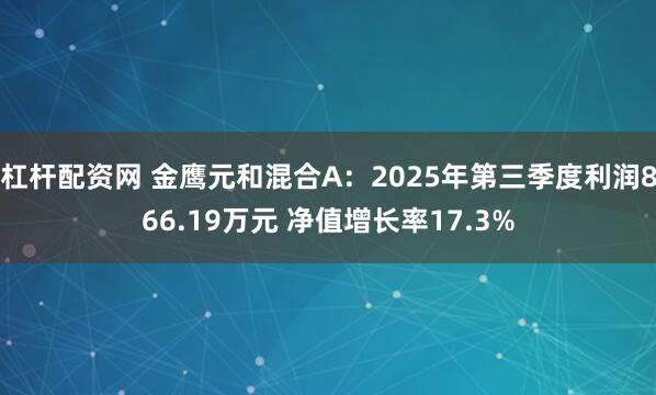 杠杆配资网 金鹰元和混合A：2025年第三季度利润866.19万元 净值增长率17.3%