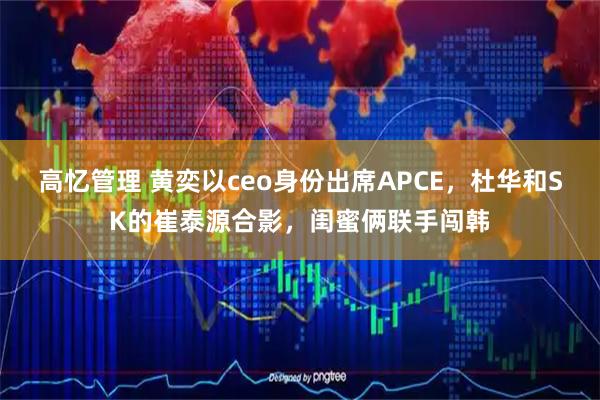 高忆管理 黄奕以ceo身份出席APCE，杜华和SK的崔泰源合影，闺蜜俩联手闯韩