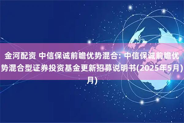 金河配资 中信保诚前瞻优势混合: 中信保诚前瞻优势混合型证券投资基金更新招募说明书(2025年5月)