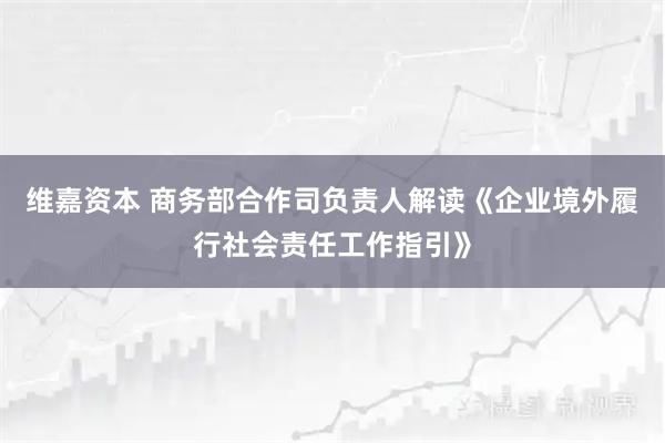 维嘉资本 商务部合作司负责人解读《企业境外履行社会责任工作指引》
