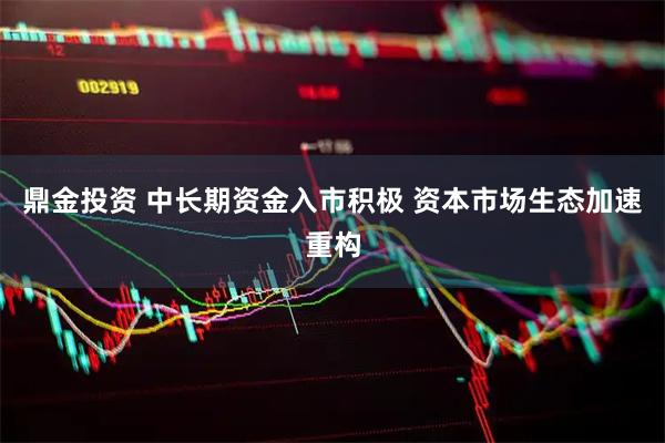 鼎金投资 中长期资金入市积极 资本市场生态加速重构