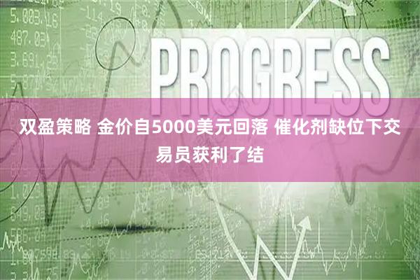 双盈策略 金价自5000美元回落 催化剂缺位下交易员获利了结